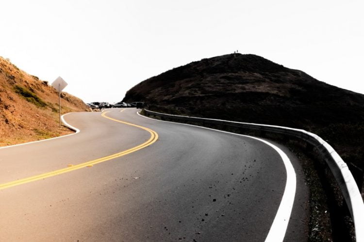 הצעצועים והאביזרים המומלצים ביותר לכלבים בשנת 2025