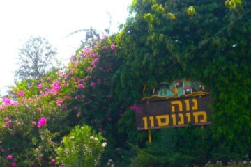 למכירה מגרש אחורי בנווה מונוסון בבעלות פרטית