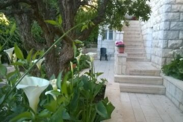 דרוש/ה שותפ/ה לדירת 4 חדרים בירושלים