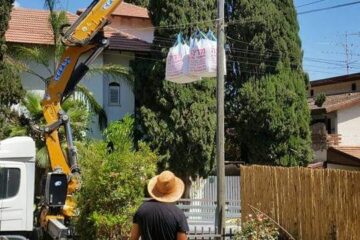 שירותי גינון